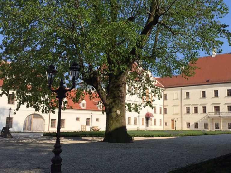 Ein beeindruckendes Ambiente erwartet Sie Das Schloss THALHEIM