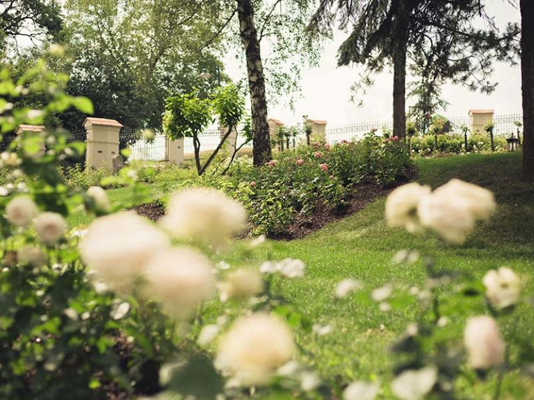 Der Rosengarten von Schloss THALHEIM