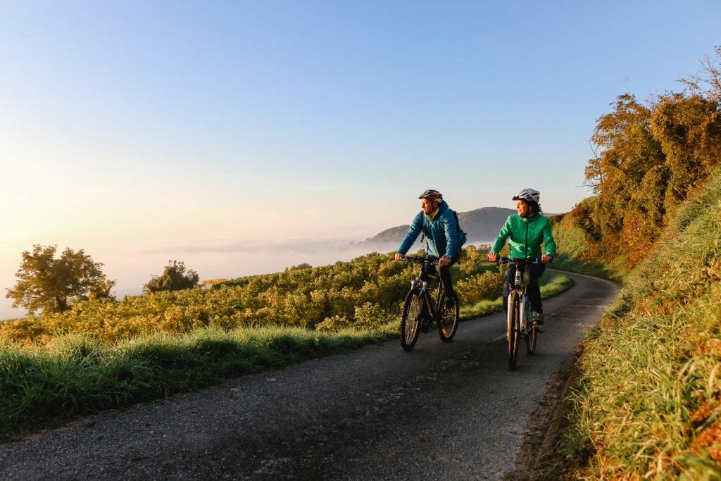 © Mostviertel Tourismus / weinfranz.at