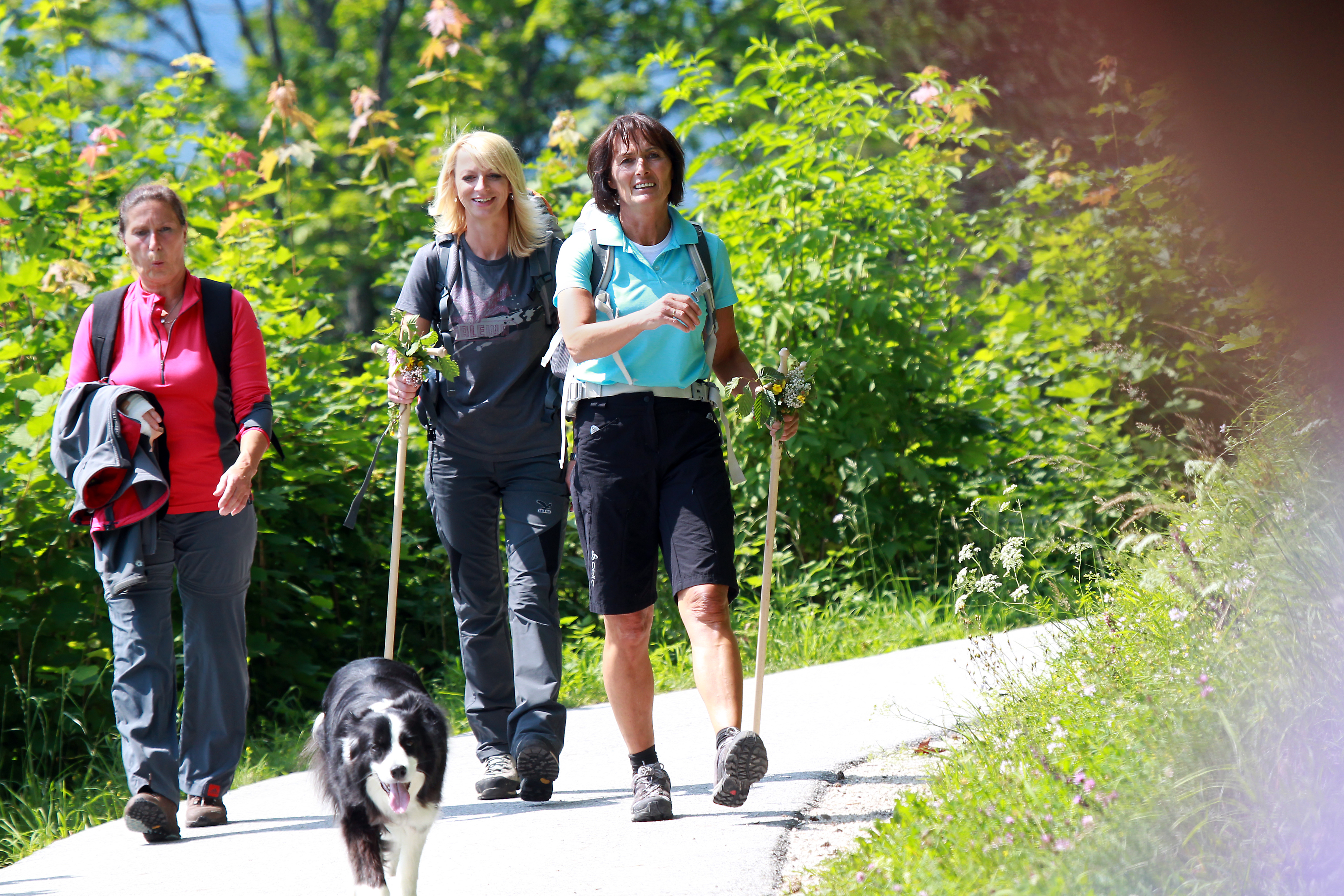 walking-in-mostviertel